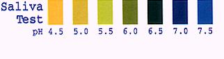 ph test strips colour chart : alkaline body acid alkaline body alkaline body balance alkaline