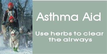 asthma natural remedy alternative asthma treatment asthma natural treatment asthma treatment asthma home remedy asthma remedy asthma herbal remedy asthma herbal treatment