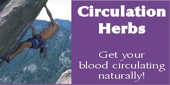 Natural circulation herbs to improve circulation and increase blood circulation for poor circulation and circulation problem.