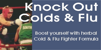 Discount flu remedy, cold flu remedy, cold and flu treatment, flu vaccine for the flu season, flu, cold flu