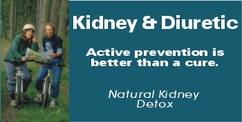 Kidney problem or kidney infection and kidney stone treatment to cleanse kidney with kidney herbs that may help with kidney stone removal