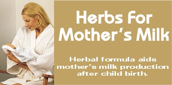 Mother milk tea to increase breast milk production and increase lactation. Use this fenugreek breastfeeding herb for breast feeding supply and breast milk production