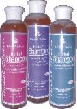 Natural Shampoo : herbal toothpaste and natural herbal toothpaste natural toothpaste 