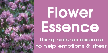 Flower Essences, Emergency Flower Essence Formula For Stress & Emotions, flower essence, flower remedies, emotion support, emergency support, stress support