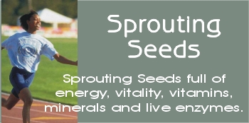 sprouting seed, sprouting seeds, seeds for sprouting, sprouts, alfalfa sprouts, bean sprouts, vegetarian, sprouts, sprouting