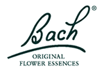 rescue remedy bach rescue remedy bachs rescue remedy rescue remedy for dog bach flower rescue remedy