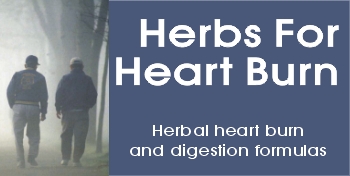 Discount heartburn remedy, heartburn home remedy, heartburn treatment, heartburn cure, heartburn