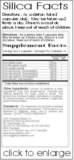 Silica Food Supplement: An all natural vitamin store with iron food supplement, magnesium food supplement, potassium food supplement and silica food supplement.