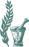 alkaline cancer cancer natural cancer alkaline diet natural cancer therapy cancer treatment with herbs cancer cure herb flor essence flor essence tea cancer natural healing natural cancer prevention essiac cancer cure herbal medicine flora florssence alkaline cancer cure herbs that cure cancer