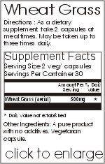 green food super greens super green foods green vitamin green supplement green food supplement